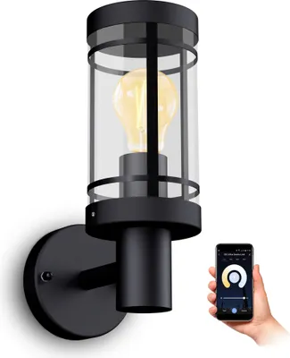 Produktbild von SSC-LUXon MIENTO Wandleuchte Außen wetterfest IP44 mit Smart Home WiFi E27 LED Vintage Birne - Wandlaterne schwarz Steuerung per App & Sprache