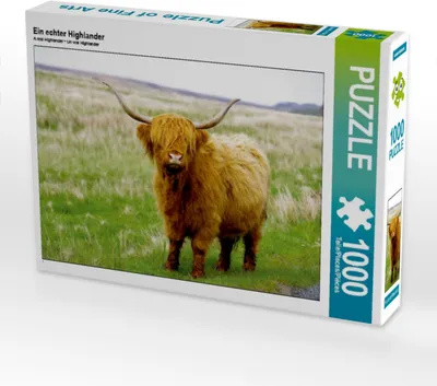 Produktbild von Calvendo Ein echter Highlander 1000 Teile Puzzle quer 640x480mm, N N; 7438015