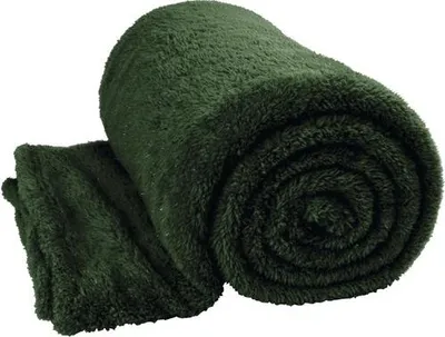 Obrázok produktu pre Unikátne obývacie pléd Teddy Glitter Dark Green 150x200cm