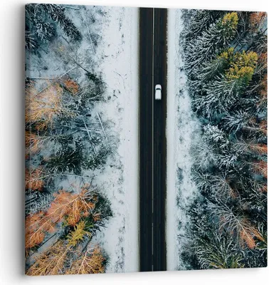 Produktbild von Bild auf Leinwand - Leinwandbild - Einteilig - Wald Weg Schnee - 30x30cm - Wand Bild - Wanddeko - Wandbilder - Leinwanddruck - Bilder - Wanddekoration - Leinwand bilder - Wandbild - AC30x30-4654
