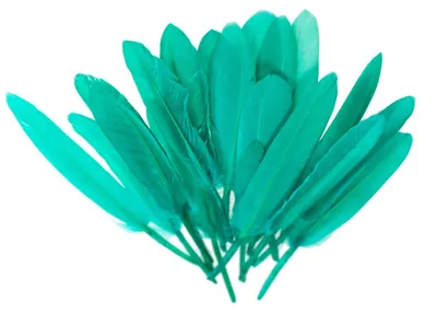 20 Entenfedern , 9-14 cm , seegrün