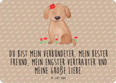 Produktbild von Mr. & Mrs. Panda Wandbild Hund Dame DIN A5 - Hundeglück - Geschenk, Schild, Liebenswert, Hunde, Liebe, Verliebt, Sprüche, tafel, Blechschild, Hundeliebe, Metallbild
