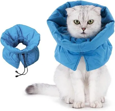 Image de Collier pour chiens - Collier de protection réglable pour animaux - Écharpe pour chat - Léger et imperméable, convient aux chats, chatons et chiens. Empêche le chat de se lécher après une opération, protège la peau, bleu, taille S.