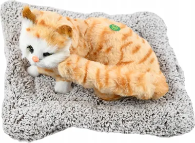 Image de chat sur oreiller 25cm figurine décorative