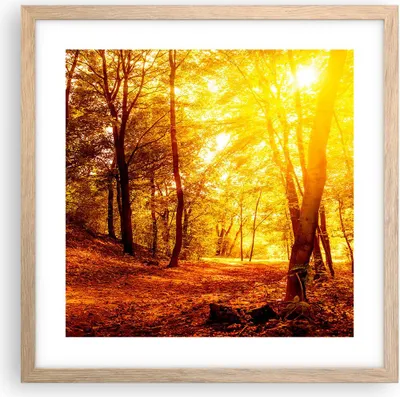 Produktbild von Gerahmtes Poster - Rahmen in heller Eiche - Wald Baum Natur - 40x40 cm - Wand Bild - Wanddeko - Wandbilder - Kunstposter - Wandposter - Bilderrahmen - Bilder - Kunstdruck - Wandbild - P2NAC40x40-3722