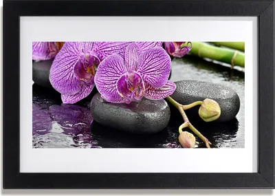 Produktbild von Bild 30x20 MDF-Rahmen Wandkunst Orchid Orchid Zen Spa