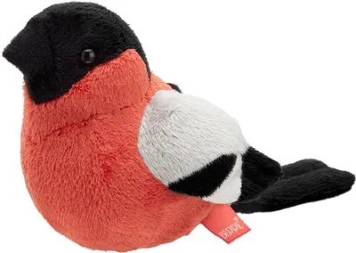 Image de Guillemot de Troïl 13cm