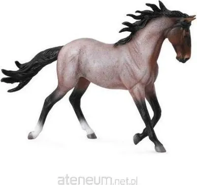Obrázok produktu pre Mustang kobyla Bay Roan