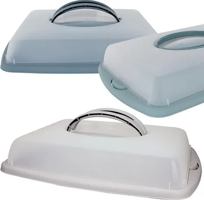 Produktbild von Centi Party- / Kuchencontainer, ca. 6,5 L 43 x 31 x 9 cm eckig Pastellfarben