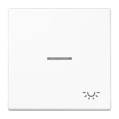 Produktbild von JG Wippe mit Symbol LS 990 KO5L WW """Licht"""