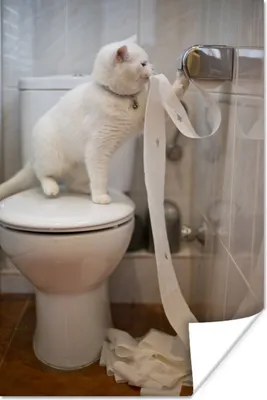 Produktbild von MuchoWow® Poster Katze spielt mit Toilettenpapier 120x180 cm - Kunstposter