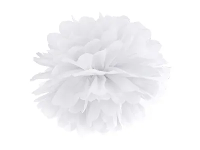 Image de Pompom De Papier 35Cm - Bílá