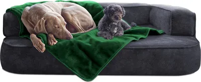 Produktbild von tierlando® Hundedecke LILLY Flauschige Haustier-, Welpen-, Katzen-, Plüschdecke - Größe: 150x100cm | Farbe: 32 Dunkelgrün