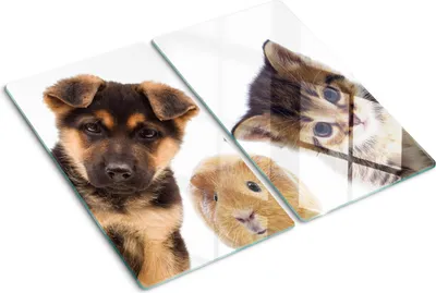 Imagen del producto de Cubierta para placa de cocina – Cubierta para placa de inducción – Placa de vidrio protectora – 2x30x52 cm – Placas de vidrio protectoras para cocina – Vidrio templado – Mascotas