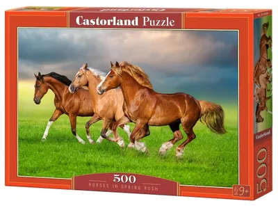 Zdjęcie produktu dla Puzzle 500 Horses in Spring Rush B-54084