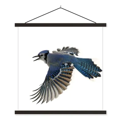 Produktbild von MuchoWow® Textilposter Vogel - Federn - Weiß 90x90 cm mit schwarzem Rahmen - Magnetisches
