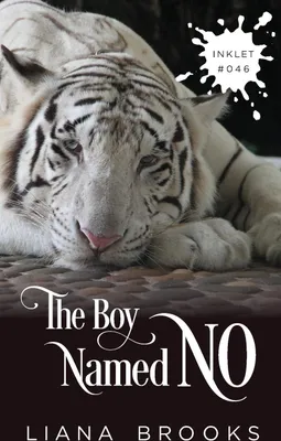 Produktbild von The Boy Named No