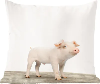 Produktbild von MuchoWow® Zierkissen Sofakissen Wohnzimmer Dekokissen 40x40 cm Tiere - Schwein - Baby - Foto Kissen - Schlafzimmer Dekoration