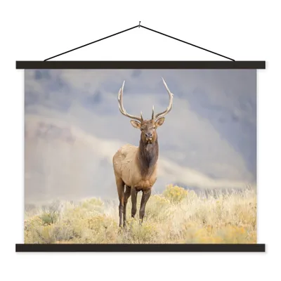 Produktbild von MuchoWow® Textilposter Hirsche - Berge - Gras 60x45 cm mit schwarzem Rahmen - Poster Schlafzimmer