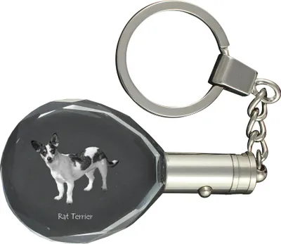 Produktbild von Rat Terrier - Anhänger mit einem Foto eines Hundes, Schlüsselanhänger aus Kristall in einer Geschenkbox, ein einzigartiges Geschenk von Art-Dog