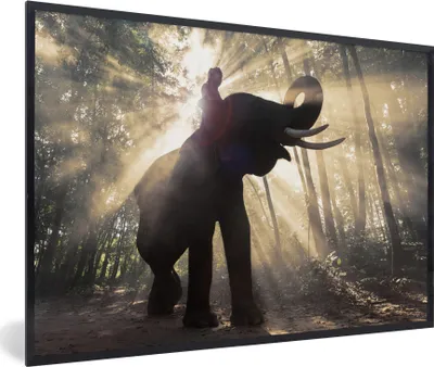 Produktbild von MuchoWow® MuchoWow® Gerahmtes Poster Elefant mit Person in hellem Sonnenlicht 60x40 cm - Poster mit zchwarzem Bilderrahmen - Printing - Wanddeko Schlafzimmer