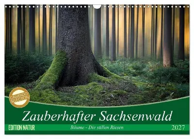 Produktbild von Zauberhafter Sachsenwald (Wandkalender 2027 DIN A3 quer), CALVENDO Monatskalender