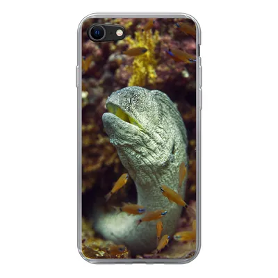 Produktbild von MuchoWow® Handyhülle Schutzhülle Hülle für iPhone 8 Fische - Korallen - Ozean Silikon Softcase Handy Hülle - Schutzhaube
