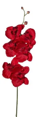 Produktbild von Kunstblume PHALAENOPSIS, ORCHIDEENZWEIG 76cm ROT