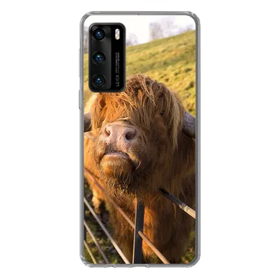 Produktbild von MuchoWow® Handyhülle Schutzhülle Hülle für Huawei P40 Scottish Highlander - Zaun - Gras Silikon Softcase Handy Hülle - Handytasche