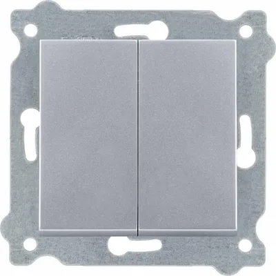 Image de Interrupteur double inverseur argent 211/10E EXEN