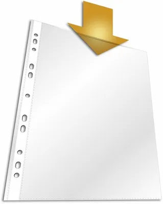 Produktbild von Prospekthüllen A4 PP 80my Universallochung transparent VE=10x100 Stück