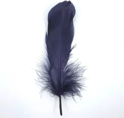 Produktbild von Federn Gänsefedern, ca. 15-20 cm, 10 Stück, Dunkelblau