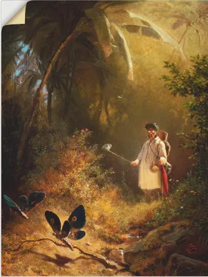 Produktbild von ARTland Wandbild, selbstklebend Der Schmetterlingsfänger Größe: 90x120 cm