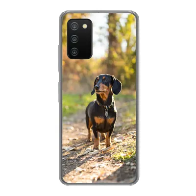 Produktbild von MuchoWow® Handyhülle Schutzhülle Hülle für Samsung Galaxy A03s Ein schöner Dackel im Wald Silikon Softcase Handy Hülle - Schutz