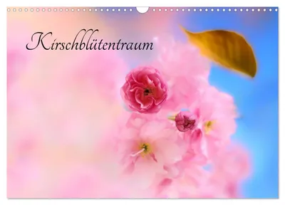 Produktbild von Kirschblütentraum (Wandkalender 2027 DIN A3 quer), CALVENDO Monatskalender