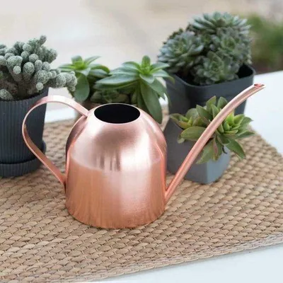 Produktbild von Kleine Metallgieter 500ml für Pflanzen