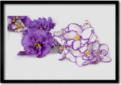 Produktbild von Bild 100x70 MDF-Rahmen Wandkunst Natur Blume Pflanze