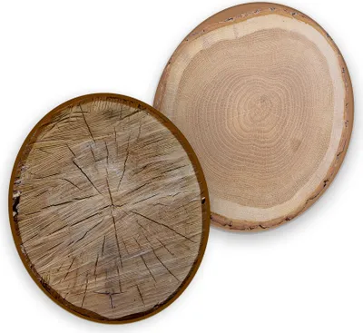 Produktbild von itenga 40x Bierdeckel Baumscheiben I Braun I Untersetzer I 10,7cm