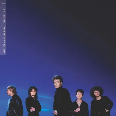 Image de Brigitte Calls Me Baby : Irréversible (vinyle blanc)
