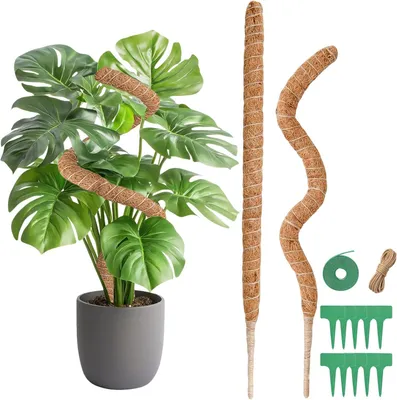Imagen del producto de Soporte para plantas tipo musgo, 2 unidades, 60 cm de longitud, flexible, para plantas de interior