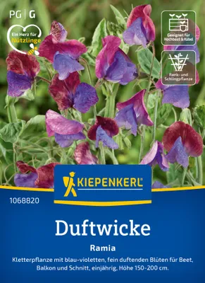 Produktbild von Kiepenkerl Duftwickensamen Ramia Lathyrus odoratus 25 Pflanzen