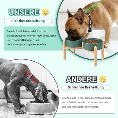 Obrázek produktu pro Automatické krmítko Famanu pro malé psy a kočky – pohodlné krmení