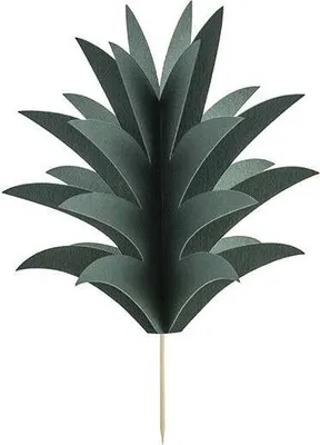 Produktbild von Cake Topper Ananas Blätter 16,5cm Dunkelgrün 6er Set