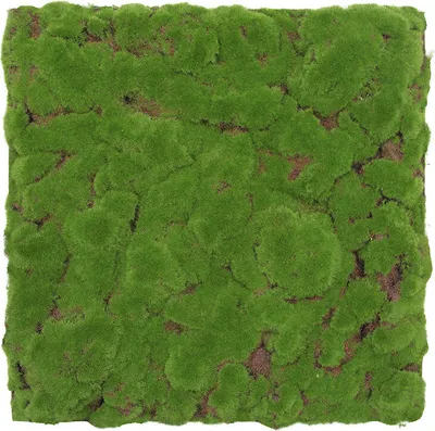 Produktbild von JANGAL Modular Wall Akustik 3D Paneele  520 x 520 mm Forest Green Bulk Design Moos Kunst Pflanzenwand Moospaneele