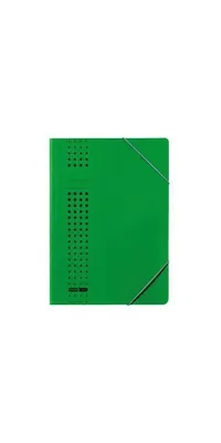 Produktbild von ELBA Eckspanner chic 400010058 DIN A4 150Bl. Karton grün
