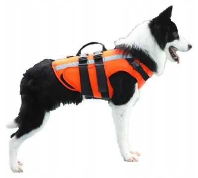 Produktbild von Tailup Kapok Hundeschwimmweste Größe L Reflektierend Orange