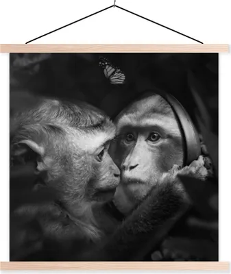 Produktbild von MuchoWow® Textilposter Tiere - Affen - Natur - Schwarz - Weiß 120x120 cm mit holzfarbenen Rahmen - Textil-Poster