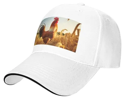 Image de Casquette de baseball classique avec motif de coq - Réglable et unie