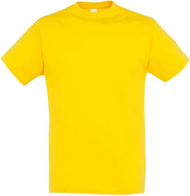 Image de SOLS - T-shirt « Regent » pour hommes/femmes Unie LT2888 (3XL) (Or)