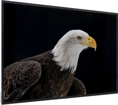 Produktbild von MuchoWow® MuchoWow® Gerahmtes Poster Adler - Vogel - Schnabel - Schwarz 90x60 cm - Poster mit zchwarzem Bilderrahmen - Fotorahmen - Foto-Plakat